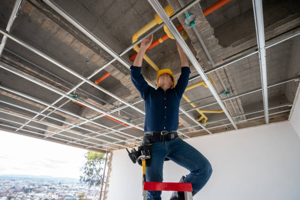 Best Toilet Repair Services  in Rocky Point, NY